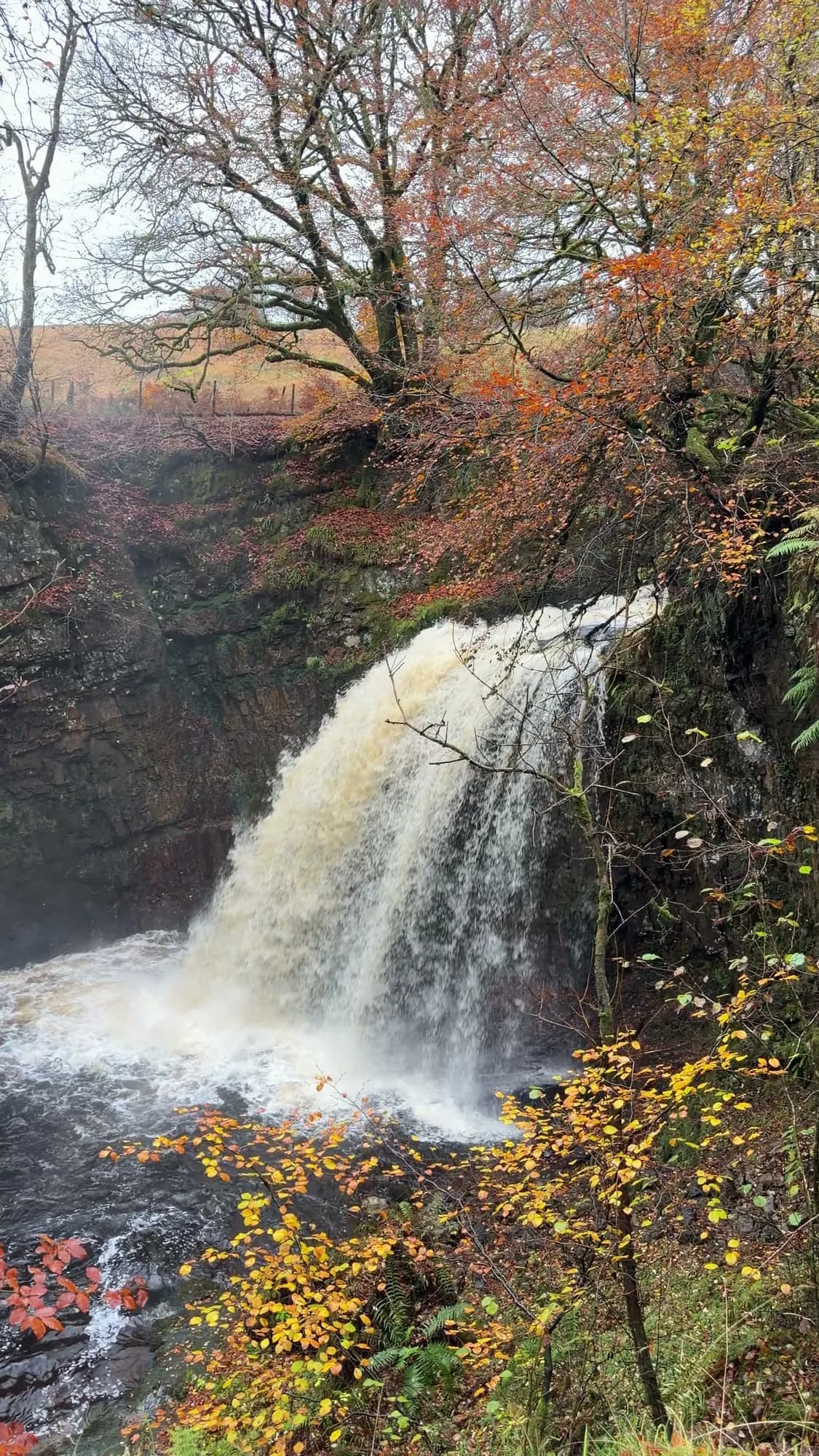 Dalcairney Falls