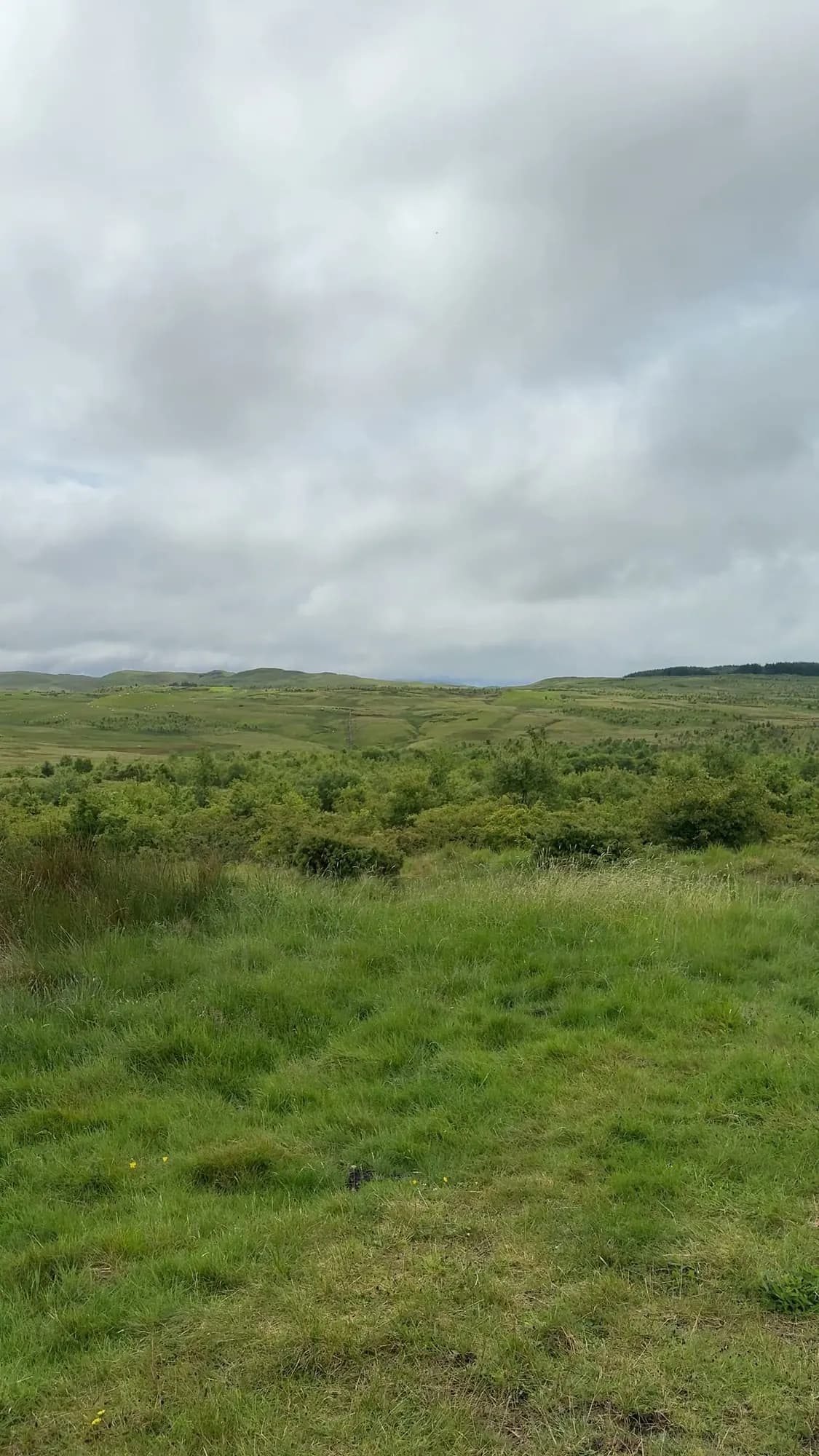 The moorland above the glen