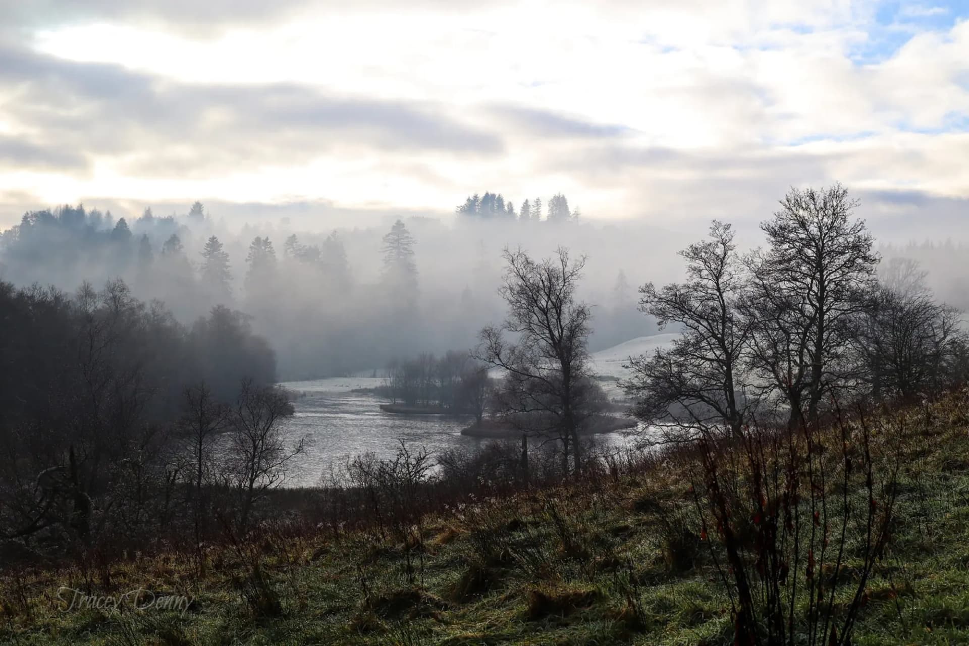 Mist over the river valley
