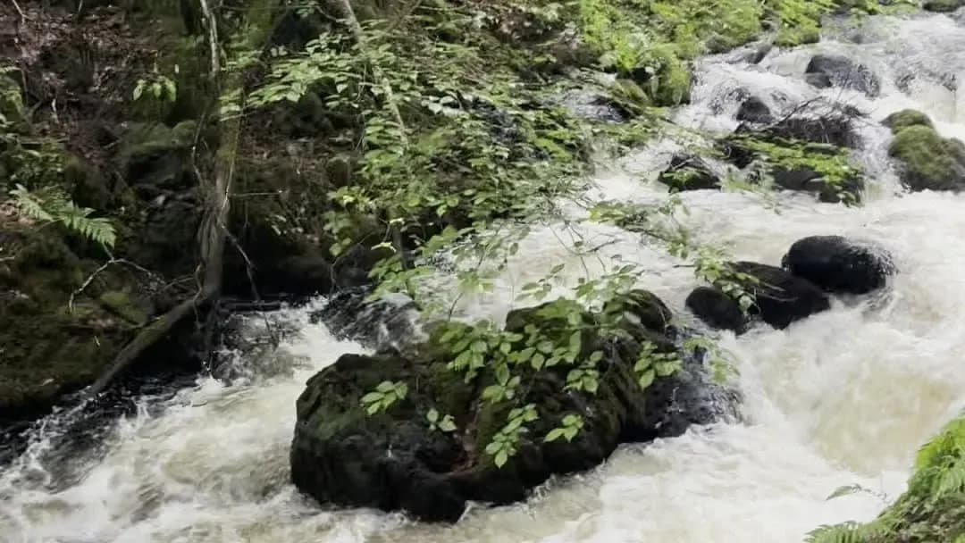 Ness Glen after rain