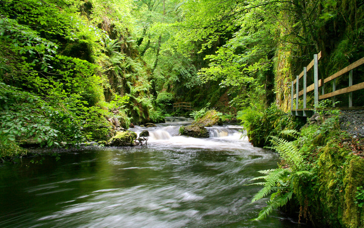 Ness Glen