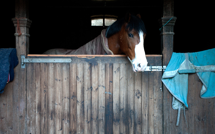 stables_4-748x468