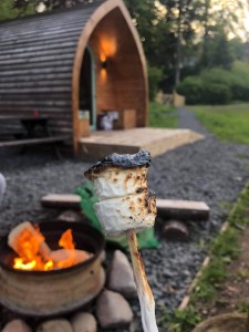 glamping pod 1